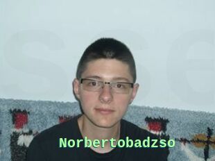 Norbertobadzso