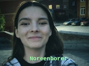 Noreenborer