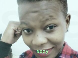 Nozy