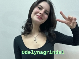Odelynagrindel