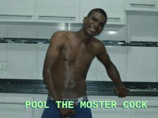 POOL_THE_MOSTER_COCK