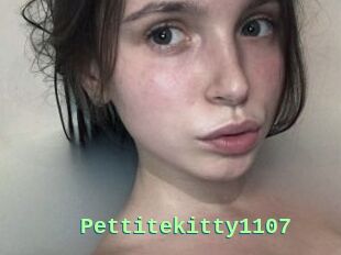 Pettitekitty1107