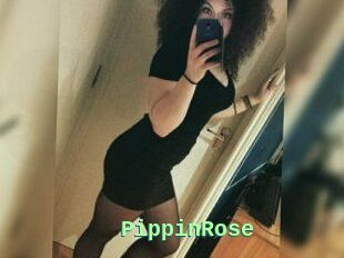 PippinRose