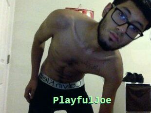 PlayfulJoe