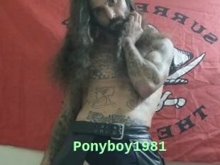 Ponyboy1981