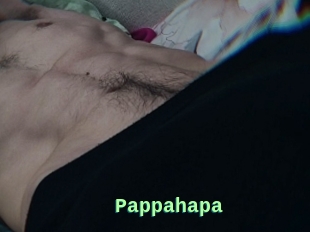 Pappahapa