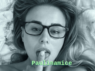 Paulinamice