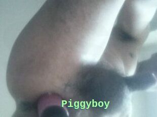 Piggyboy