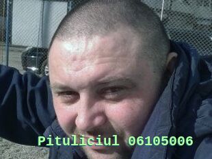 Pituliciul-06105006