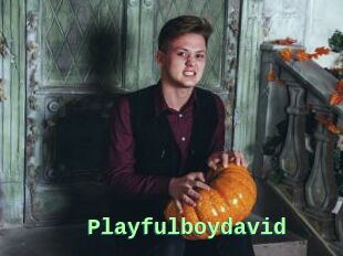 Playfulboydavid
