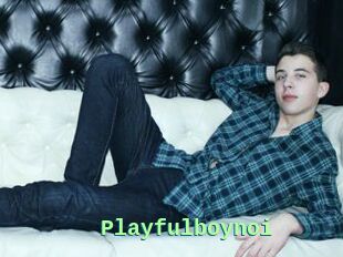 Playfulboynoi