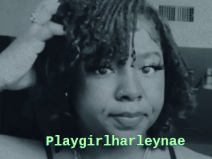 Playgirlharleynae