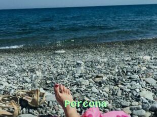 Porcona