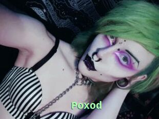 Poxod