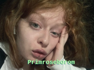 Primroseborom