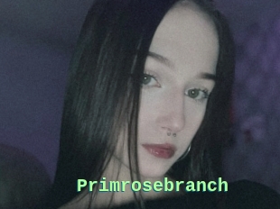 Primrosebranch