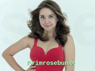 Primrosebunte
