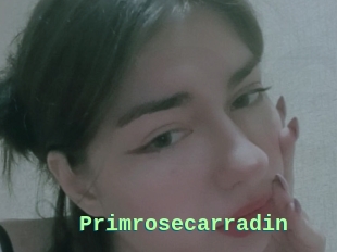 Primrosecarradin