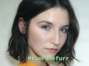 Primrosefurr