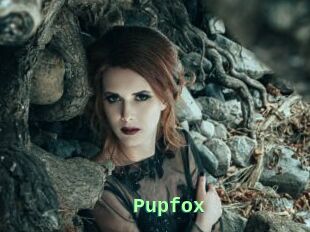 Pupfox