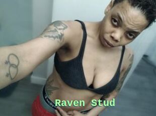 Raven_Stud