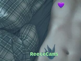 ReeceCams