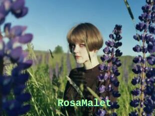 RosaMalet