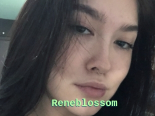 Reneblossom