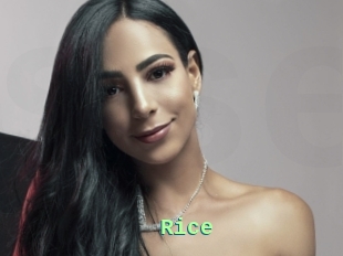 Rice