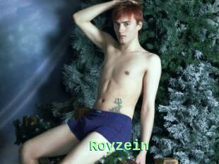 Royzein