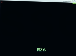 Rzs