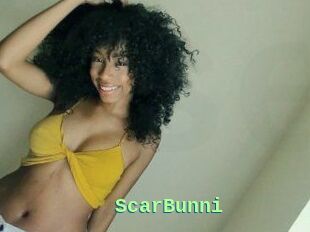 ScarBunni
