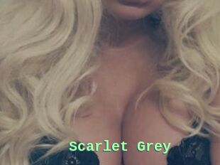 Scarlet_Grey
