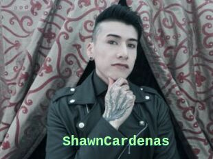 ShawnCardenas