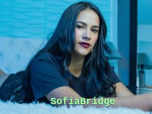 SofiaBridge