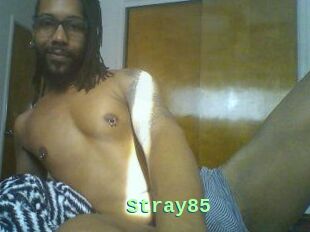 Stray85