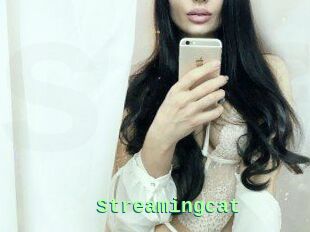 Streamingcat
