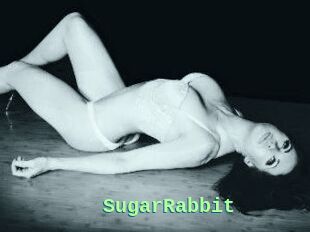 SugarRabbit