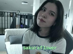 Sakuraflower