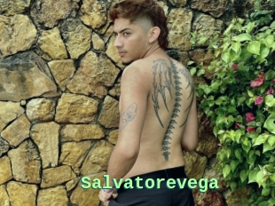 Salvatorevega