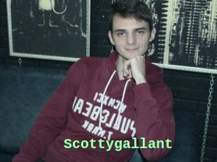 Scottygallant