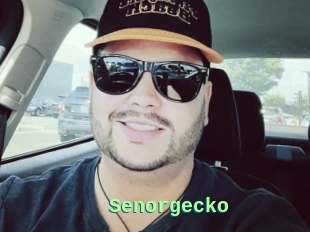 Senorgecko