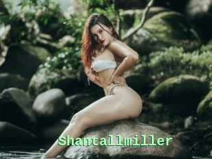 Shantallmiller