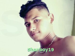 Sharboy19