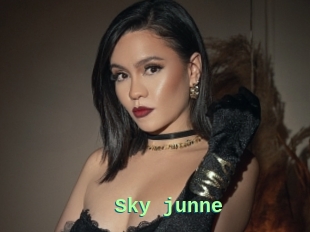 Sky_junne