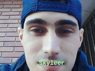 Skyleer