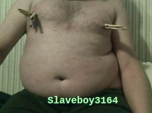 Slaveboy3164