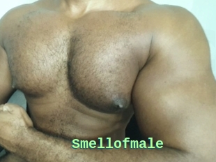 Smellofmale