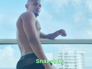 Snakebig