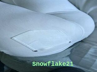 Snowflake21
